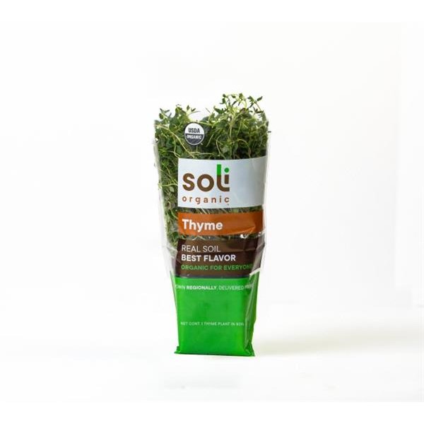 Soil Organic Potted Mint and Dill