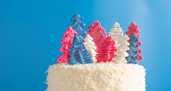 Winter Wonderland Coconut Cake 