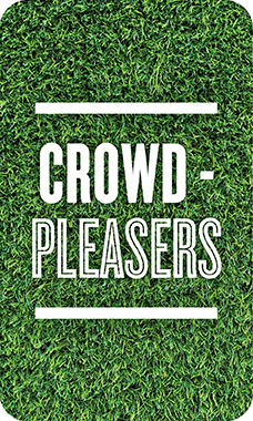 Game Day Crowd- Pleasers