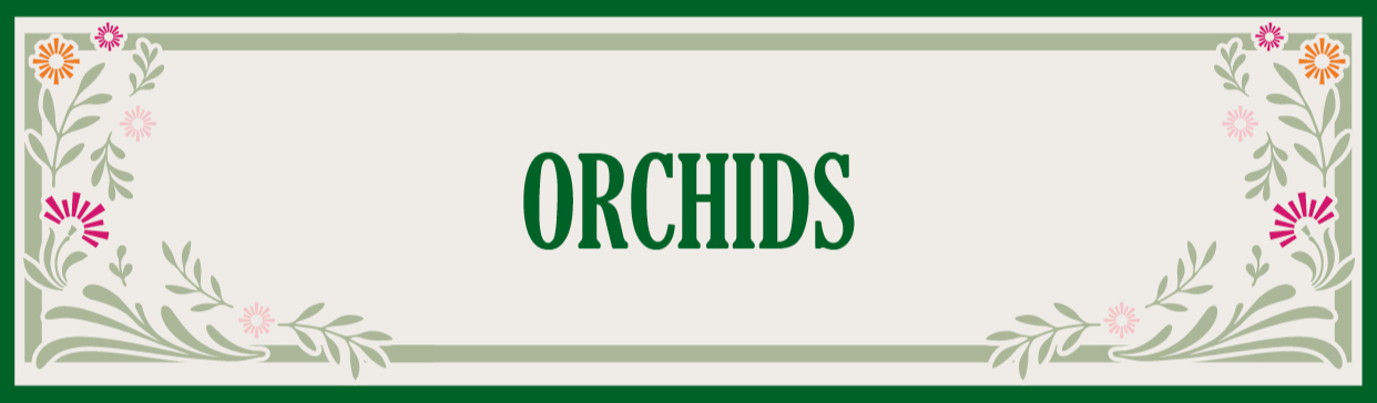 The Flower House - Orchids