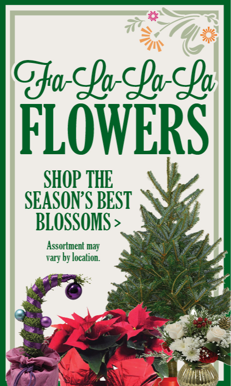The Flower Shop - Christmas Floral