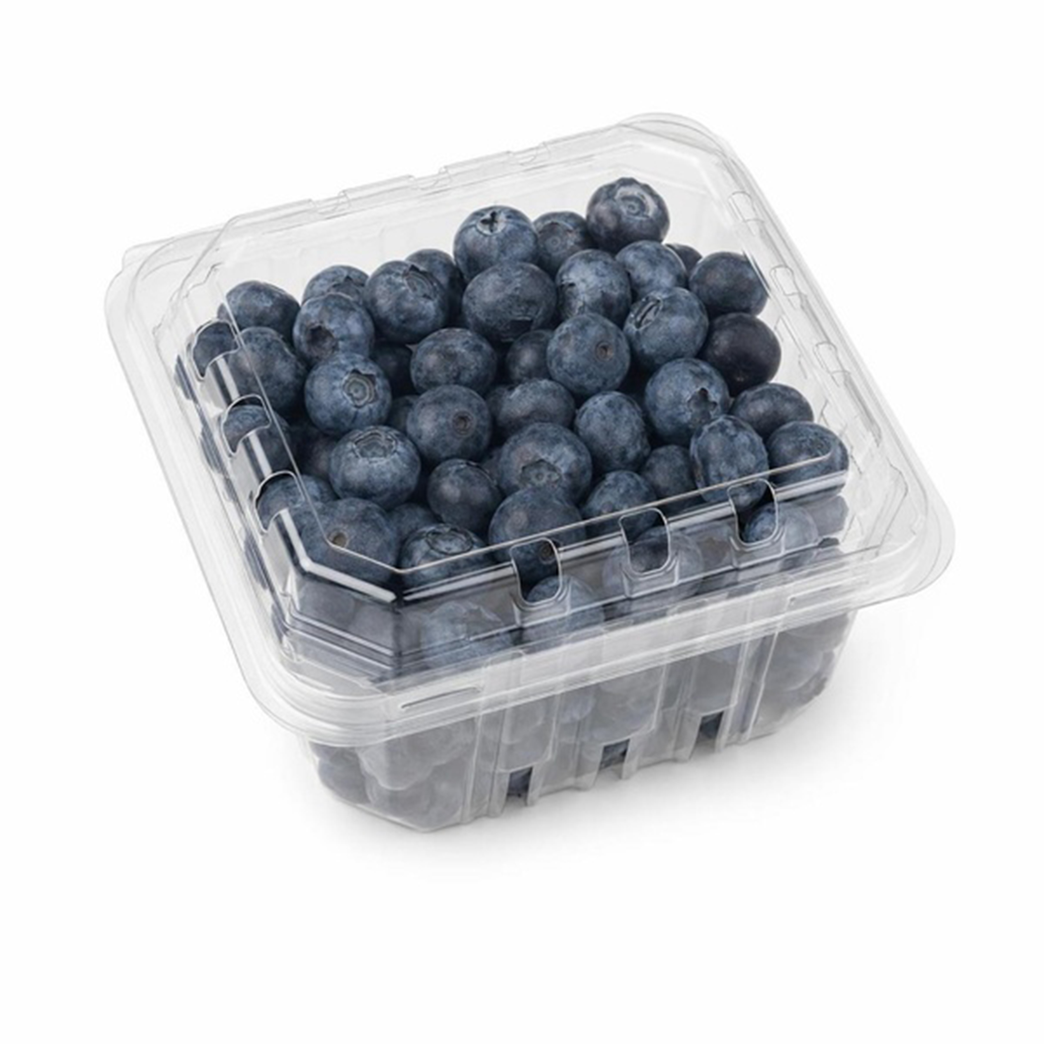 Blueberries 1 Pint