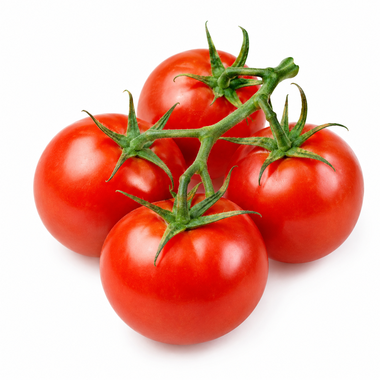 Red Tomato On Vine (Avg. 0.34lb)